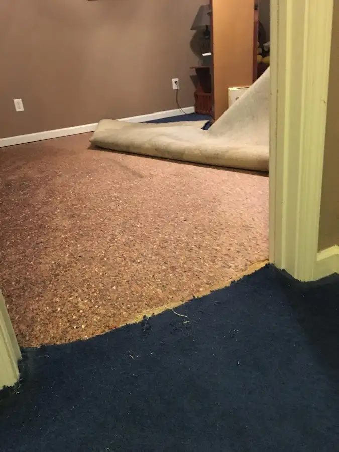 Carpet pad removal revealing water damage during Drying & Dehumidification in French Valley