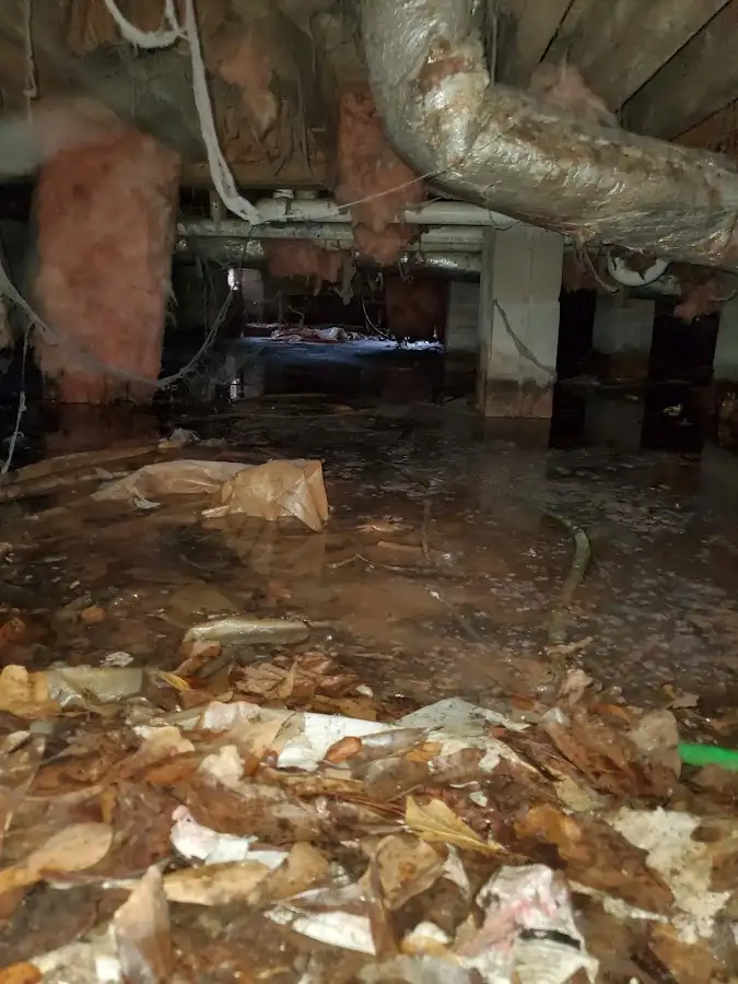 Crawl space flood assessment for Leak Detection & Repair in French Valley