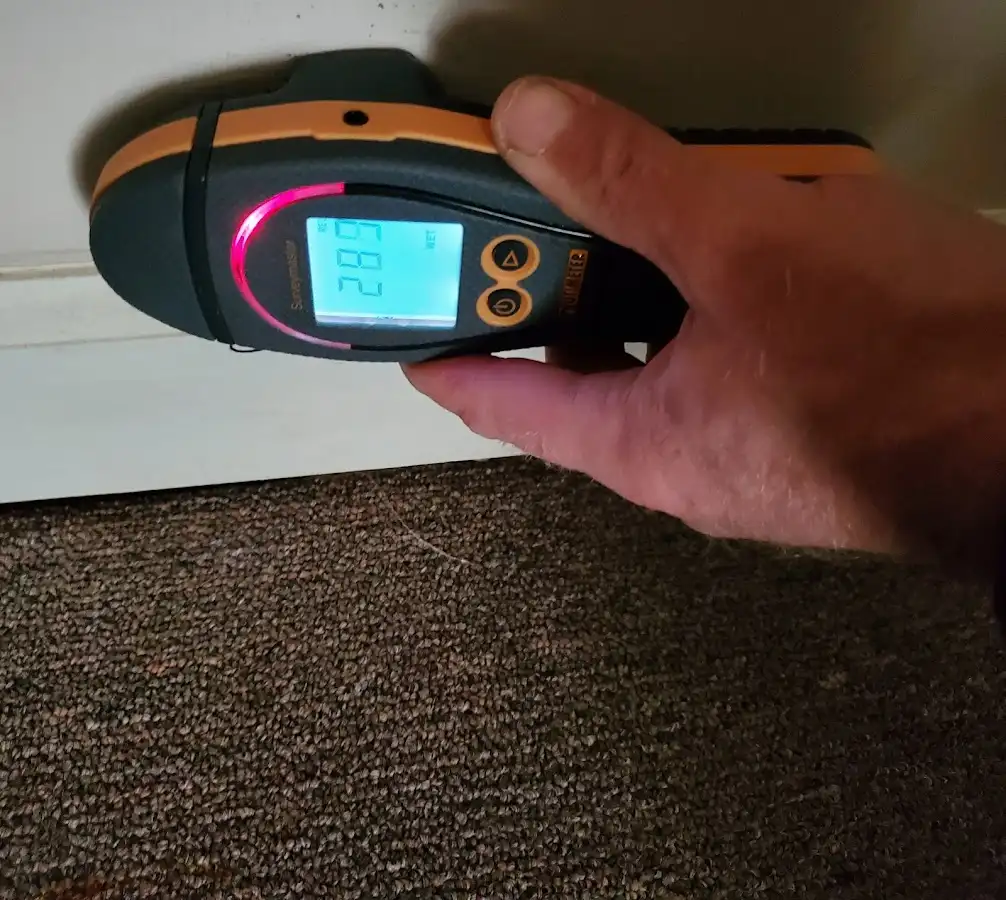 Moisture detection at baseboard during Mold Inspection & Testing in French Valley