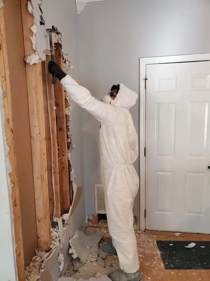 Water Damage Restoration services in French Valley, CA